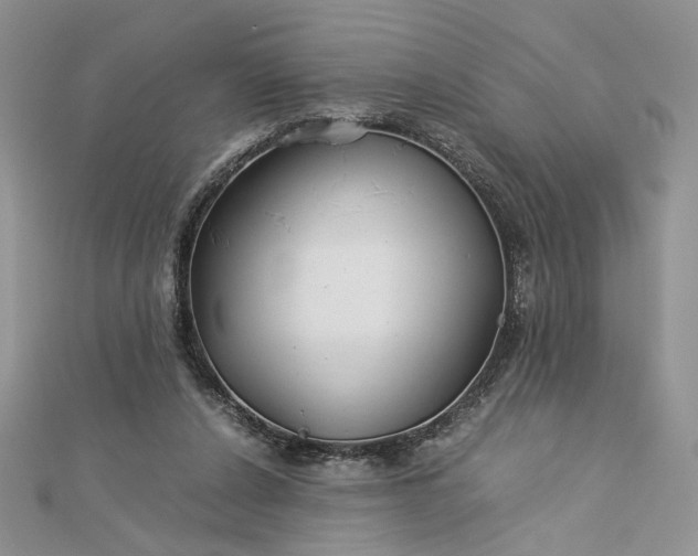 X0000112880256200909041647