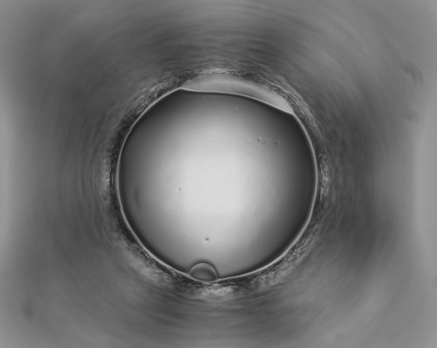 X0000112880257200909041647