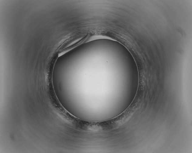 X0000112880258200909041647