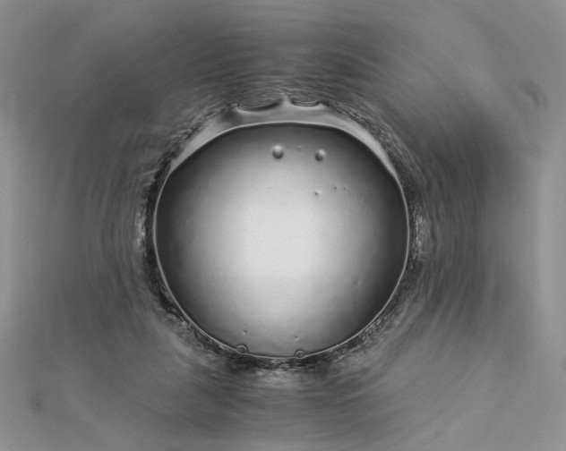 X0000112880259200909041647