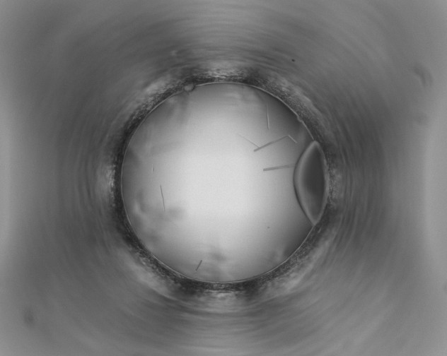 X0000112880260200909041647