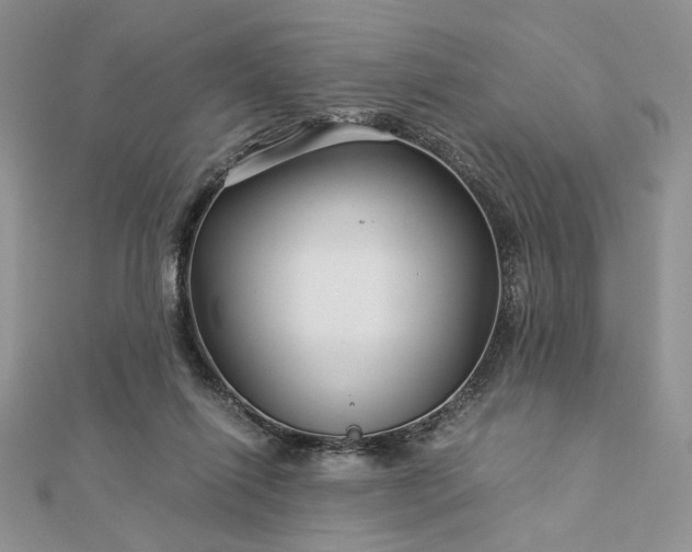 X0000112880262200909041647