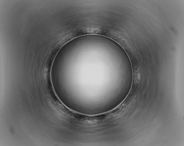 X0000112880263200909041647