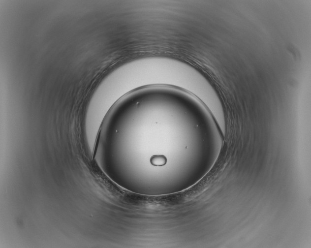 X0000112880264200909041647