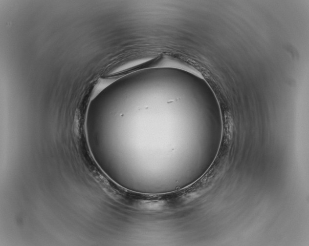 X0000112880266200909041647