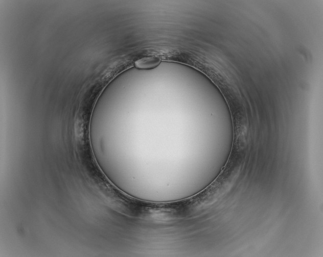 X0000112880268200909041647