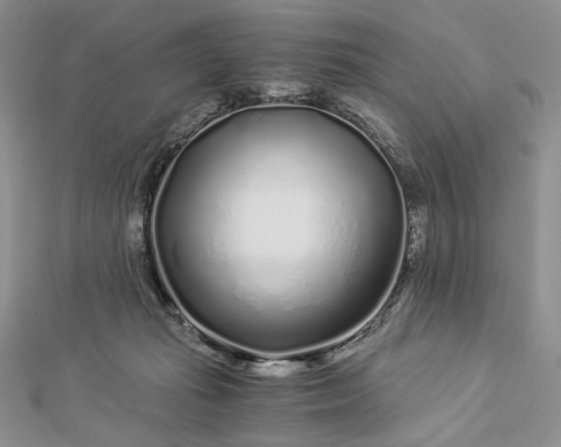 X0000112880269200909041647