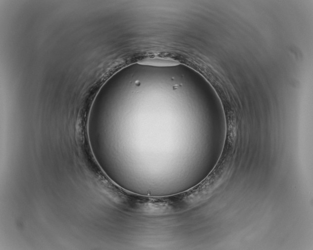 X0000112880270200909041647