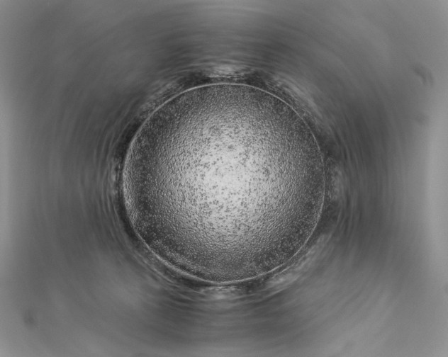 X0000112880273200909041647