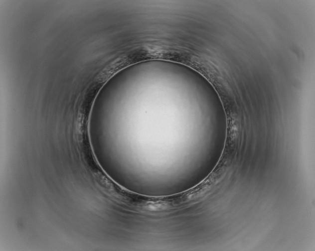 X0000112880275200909041647