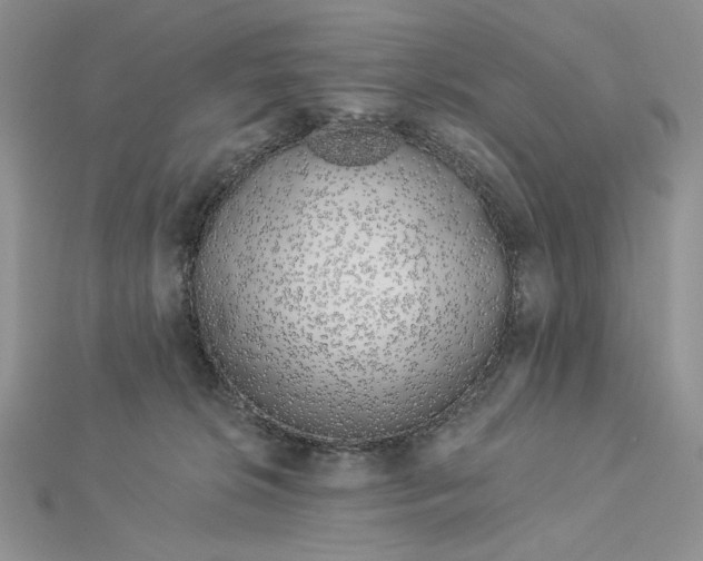 X0000112880276200909041647