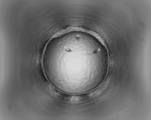 X0000112880277200909041647