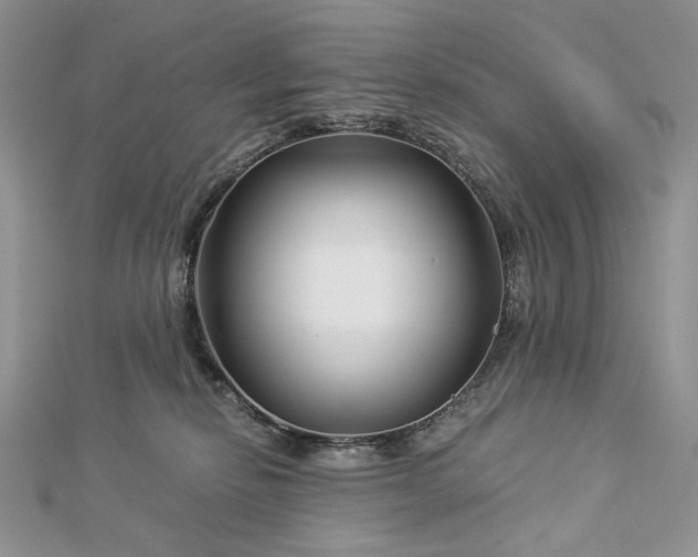 X0000112880278200909041647