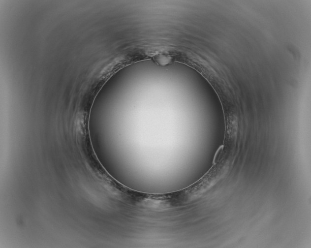 X0000112880280200909041647