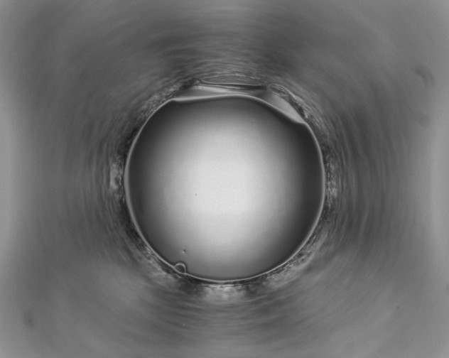 X0000112880281200909041647