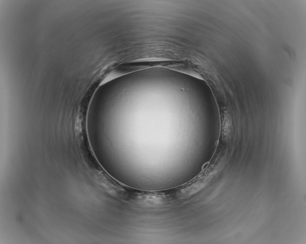 X0000112880282200909041647