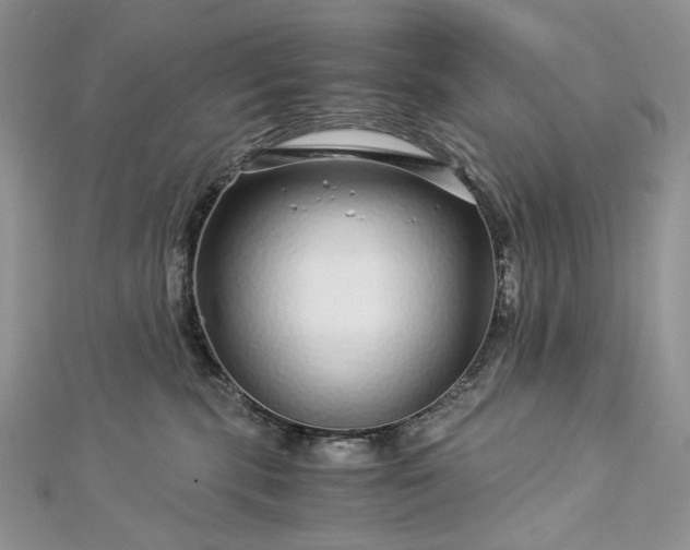 X0000112880283200909041647