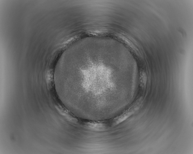 X0000112880284200909041647