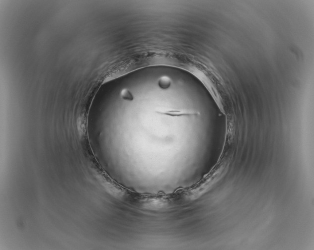 X0000112880285200909041647