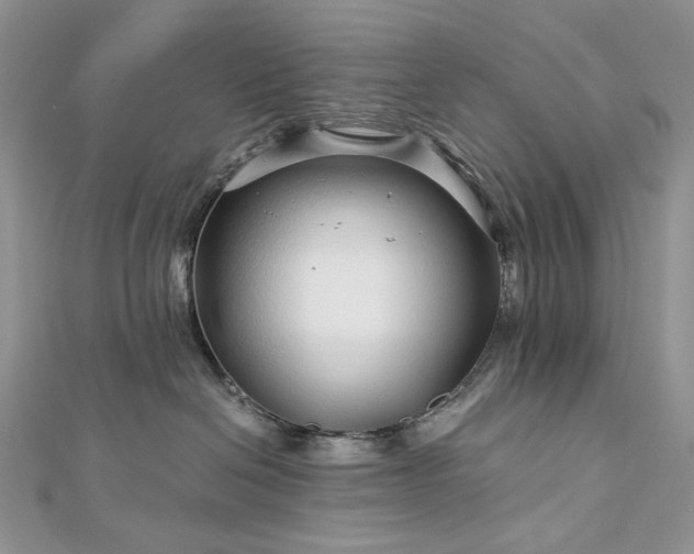 X0000112880286200909041647