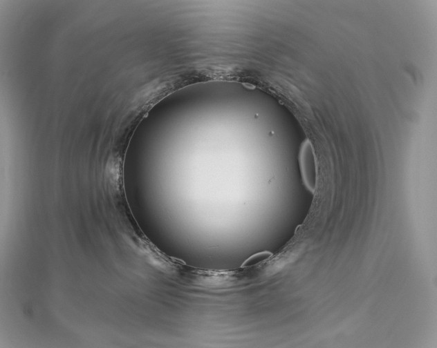 X0000112880288200909041647