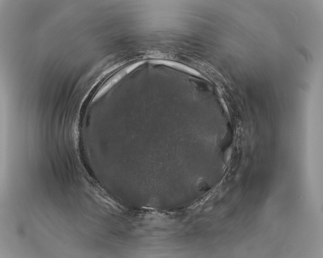 X0000112880290200909041647