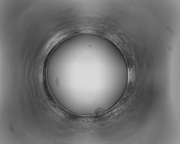 X0000112880291200909041647