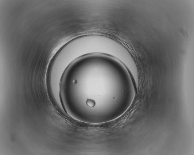 X0000112880292200909041647