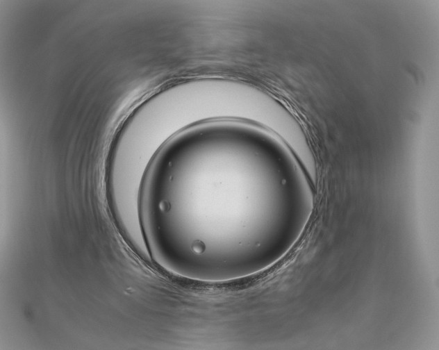 X0000112880293200909041647