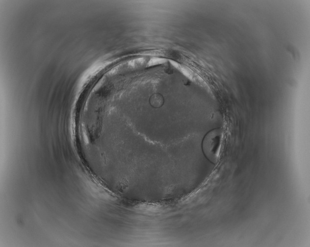 X0000112880294200909041647