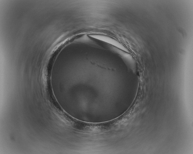 X0000112880295200909041647