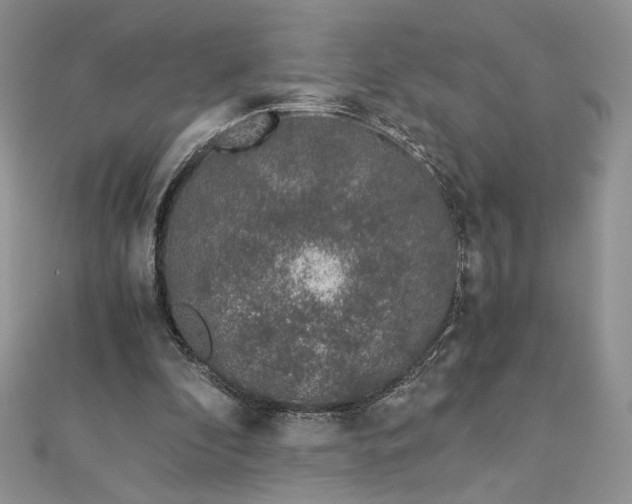 X0000112880296200909041647