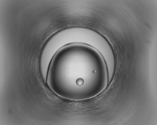 X0000112880297200909041647