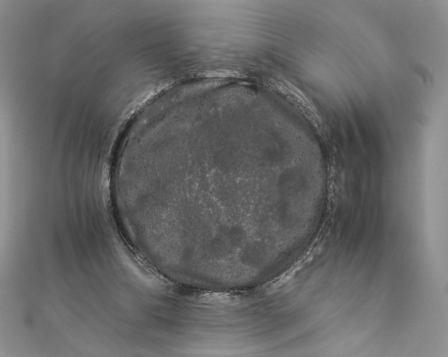 X0000112880298200909041647