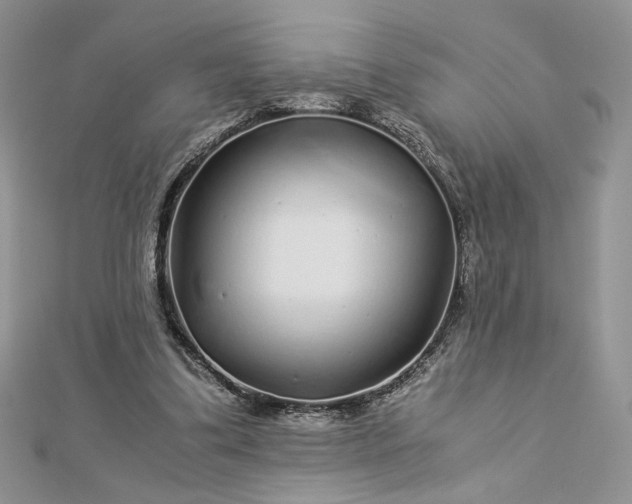 X0000112880299200909041646