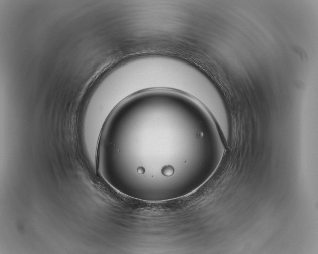 X0000112880300200909041646