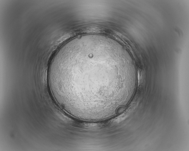 X0000112880301200909041646