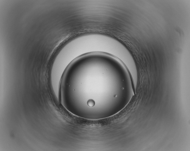 X0000112880304200909041646