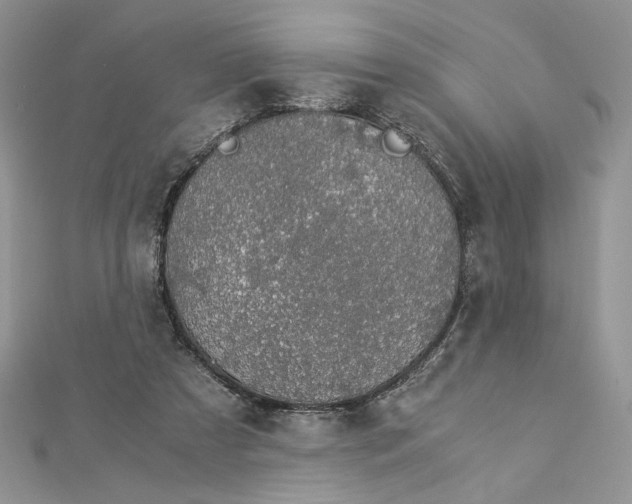 X0000112880305200909041646