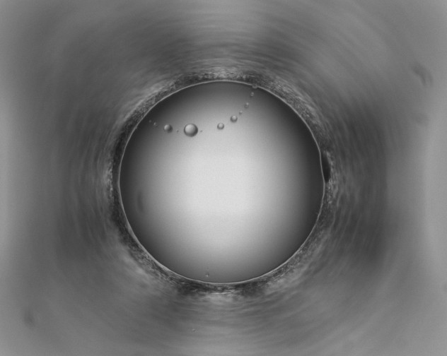 X0000112880306200909041646