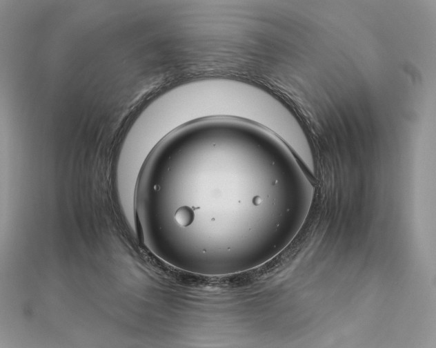 X0000112880308200909041646