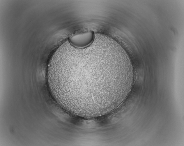 X0000112880309200909041646