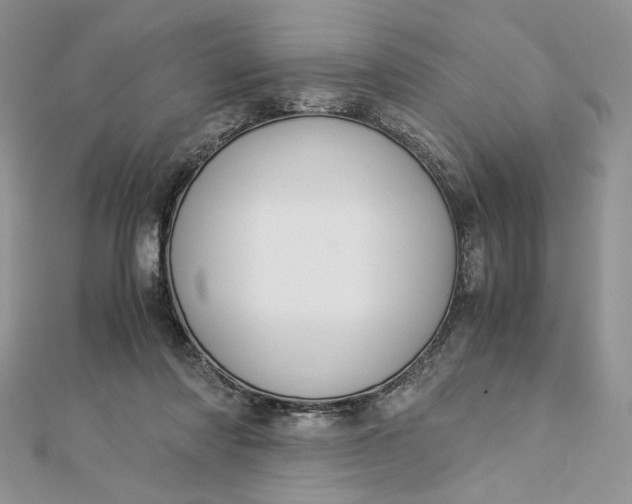 X0000112880310200909041646