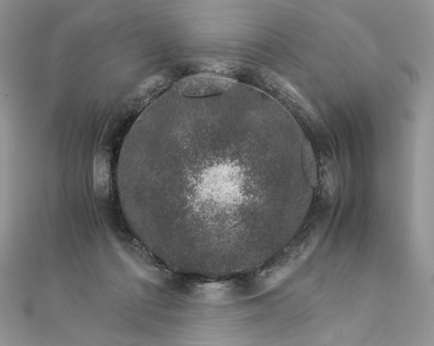 X0000112880312200909041646