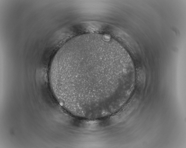 X0000112880313200909041646