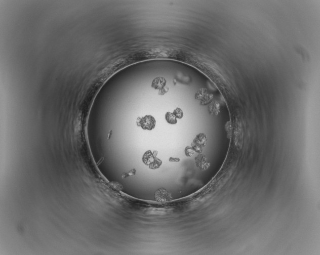 X0000112880314200909041646