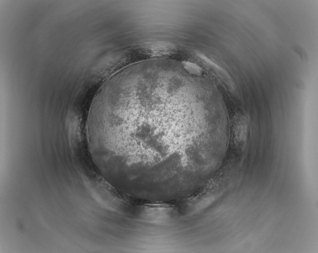 X0000112880316200909041646