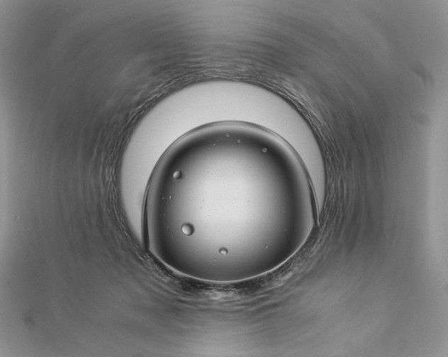 X0000112880317200909041646