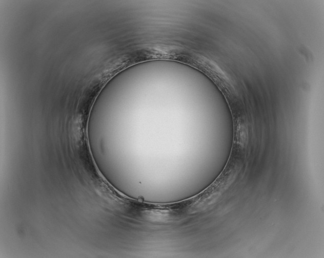 X0000112880318200909041646