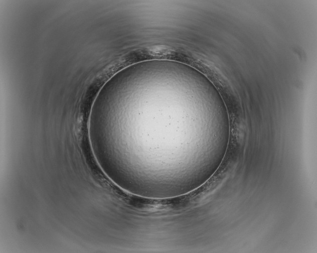 X0000112880319200909041646